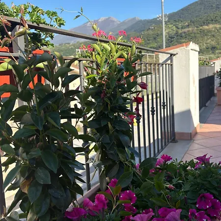 Savoia Mare Hotel 3*